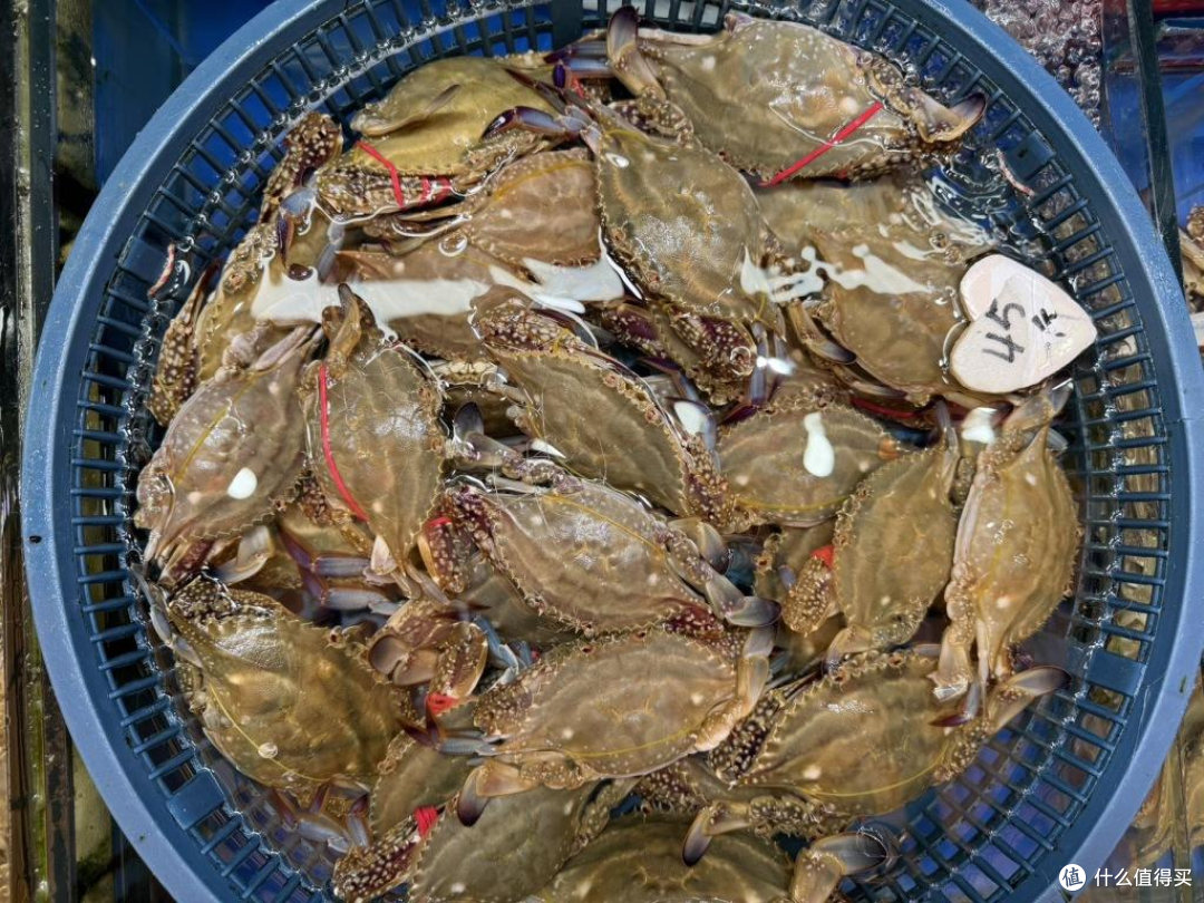 别一开海就乱买:9—10月的海鲜,到底什么时候最好吃?