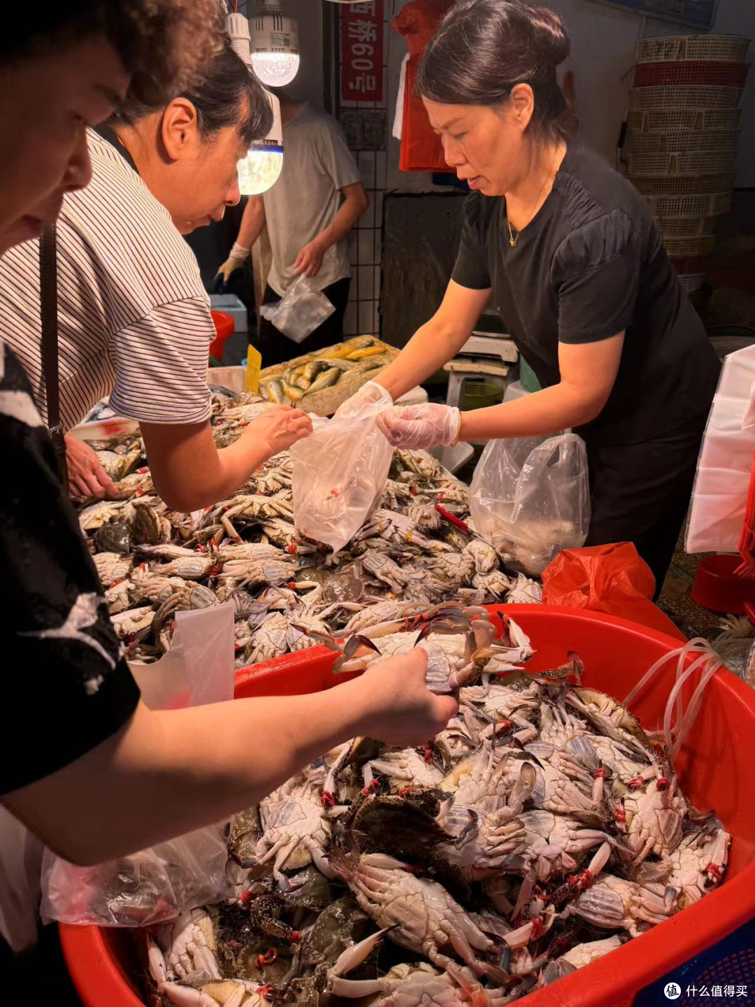 别一开海就乱买:9—10月的海鲜,到底什么时候最好吃?