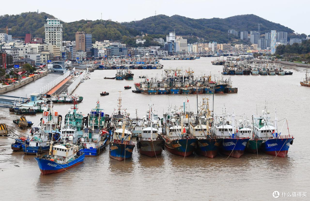 别一开海就乱买:9—10月的海鲜,到底什么时候最好吃?