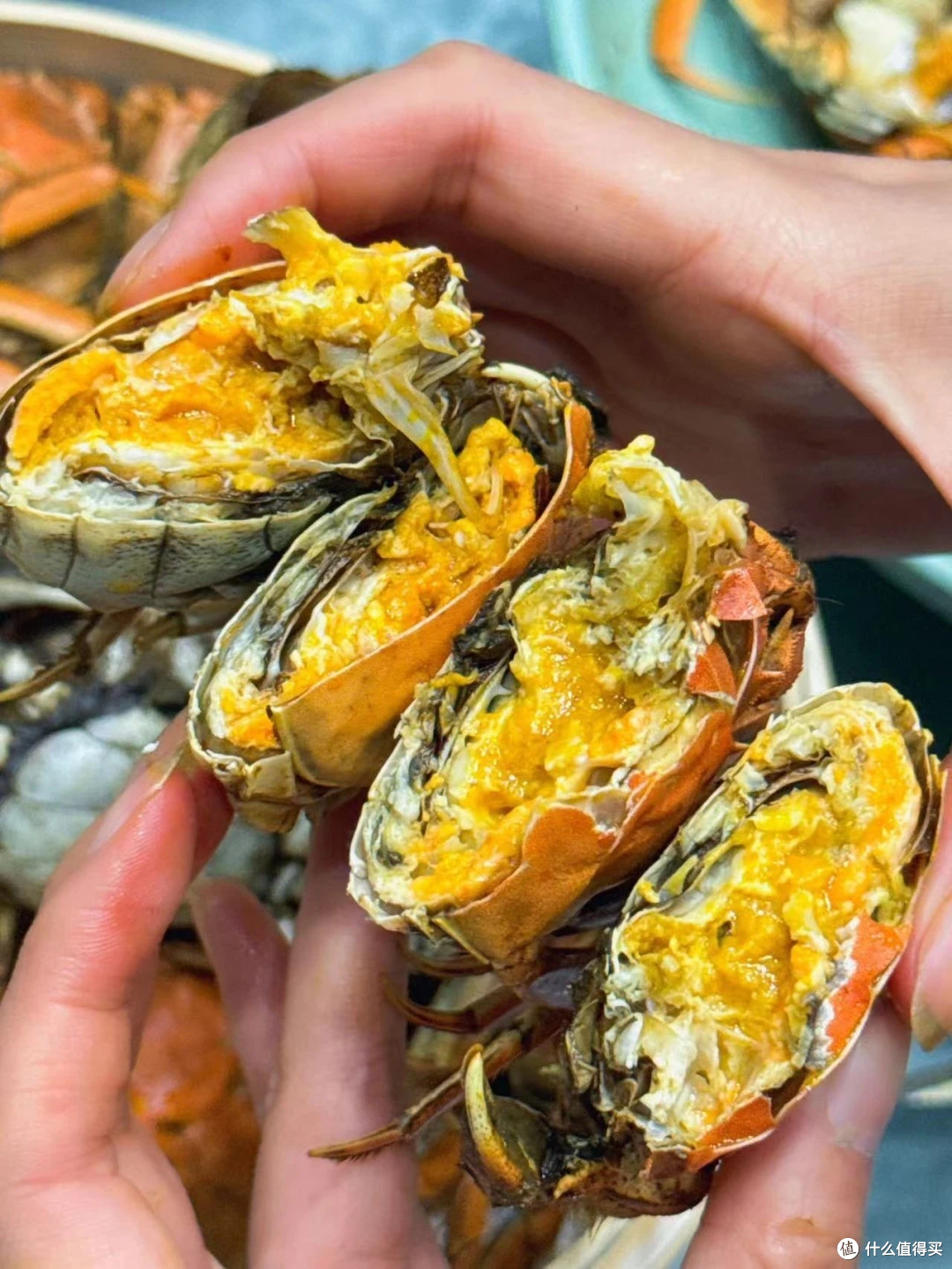 别一开海就乱买:9—10月的海鲜,到底什么时候最好吃?