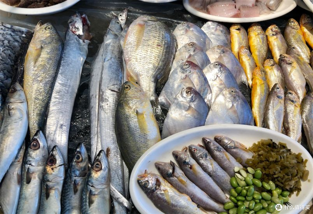 别一开海就乱买:9—10月的海鲜,到底什么时候最好吃?