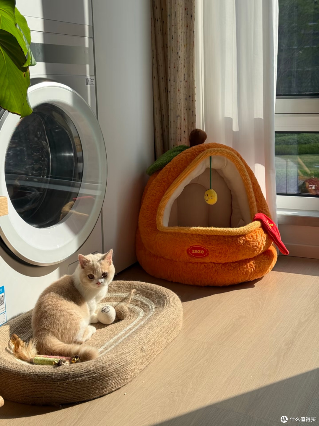 过冬猫窝首选🔥zeze山姆橘子猫窝包裹感拉满