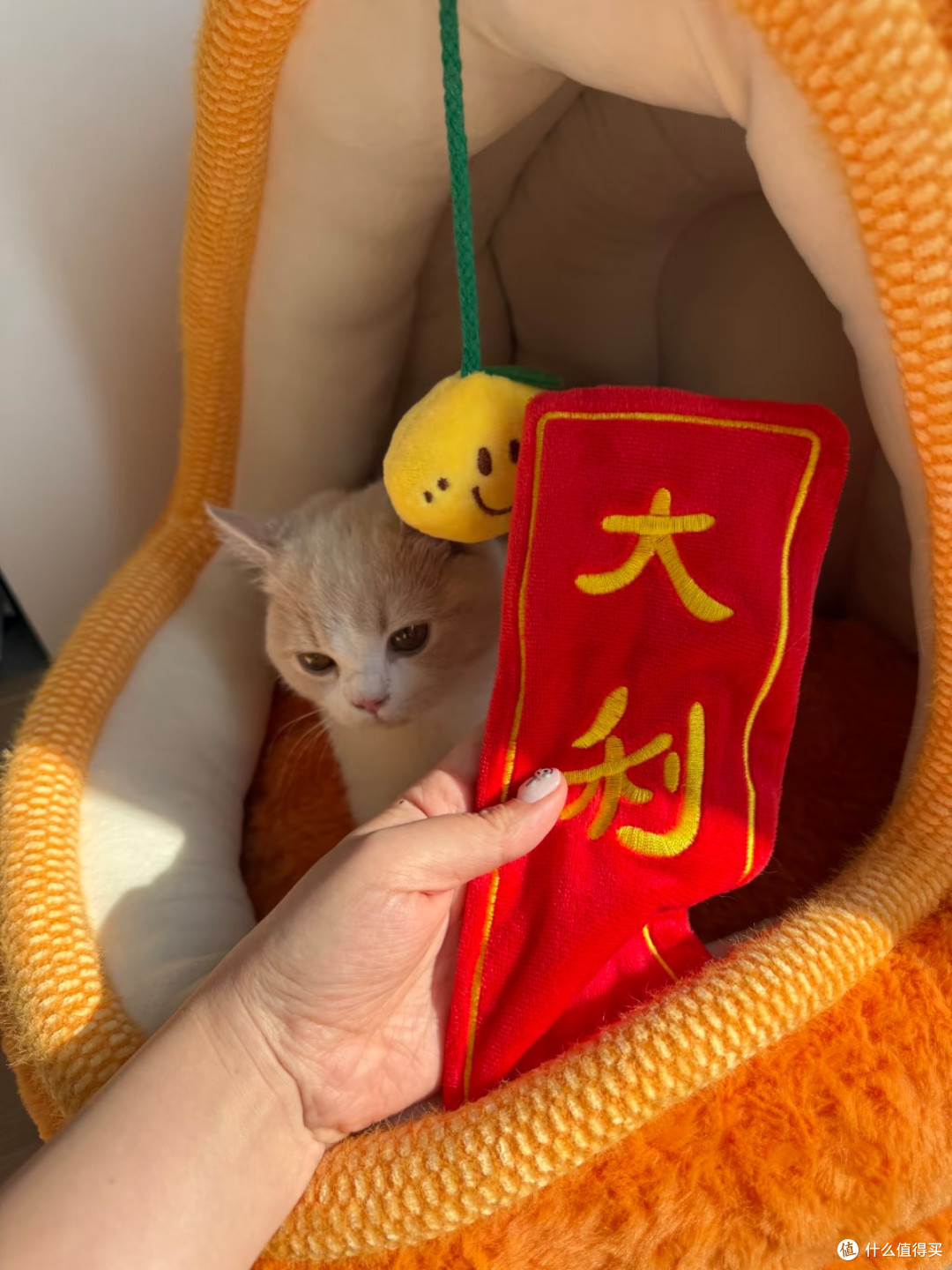 过冬猫窝首选🔥zeze山姆橘子猫窝包裹感拉满