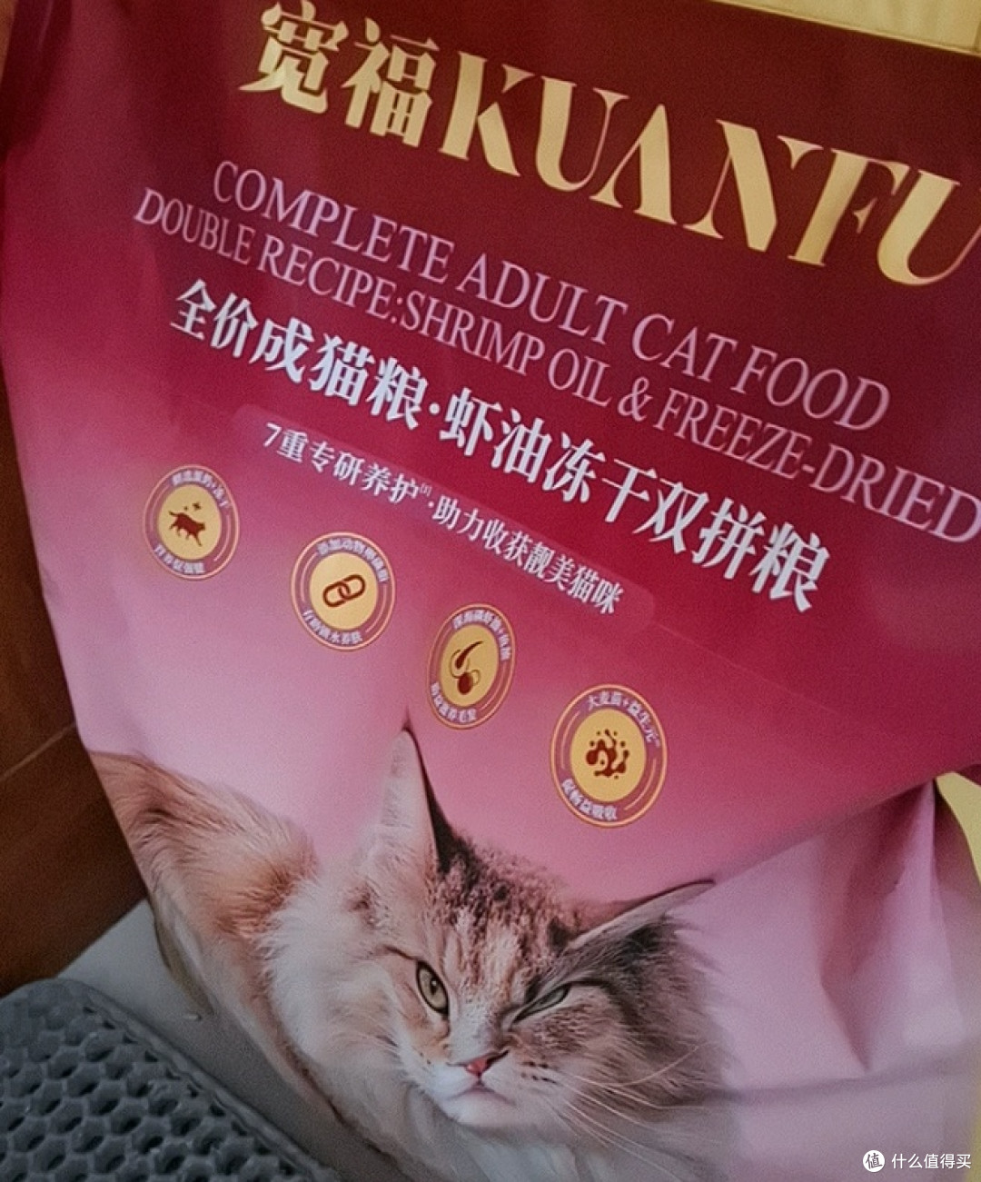 虾油入粮免喂补,美毛护肠更省心