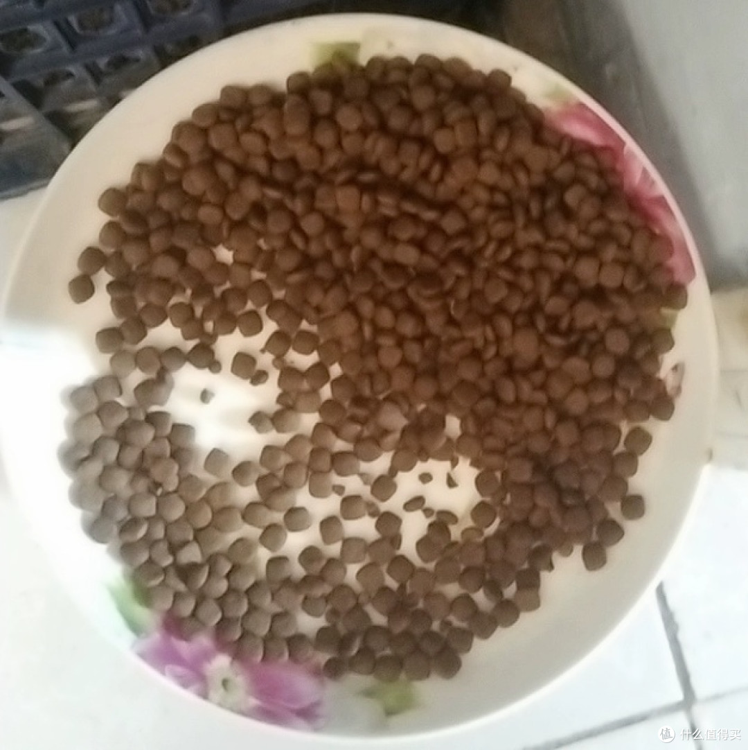 虾油入粮免喂补,美毛护肠更省心