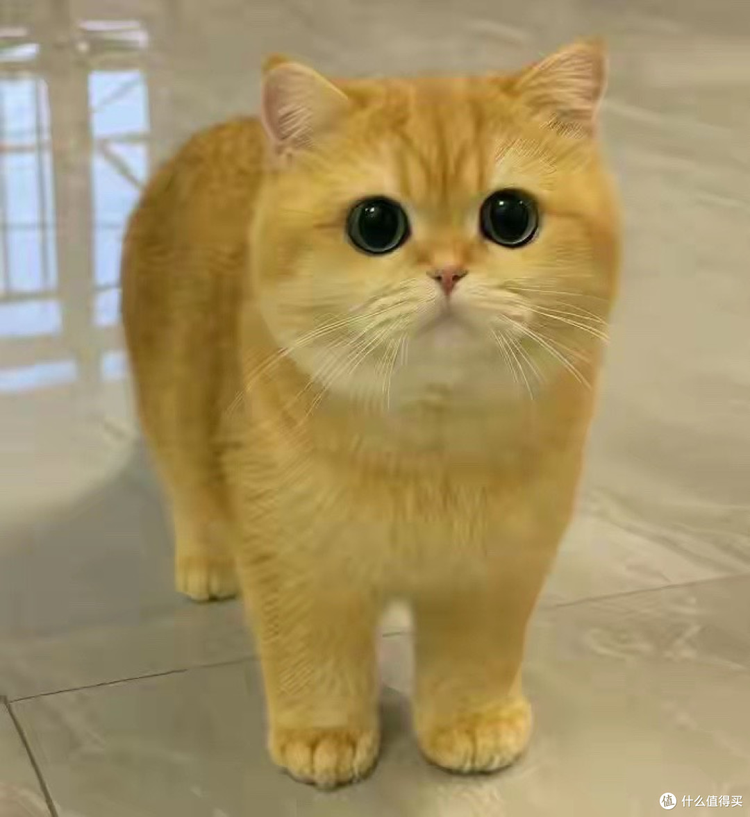 英短蓝猫适配顶入式猫砂盆实测