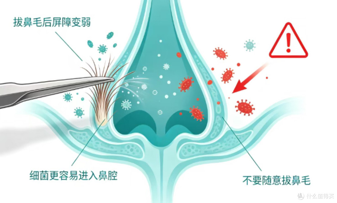 鼻毛总外窜?别再硬拔了!这根“救命毛”你根本不懂!