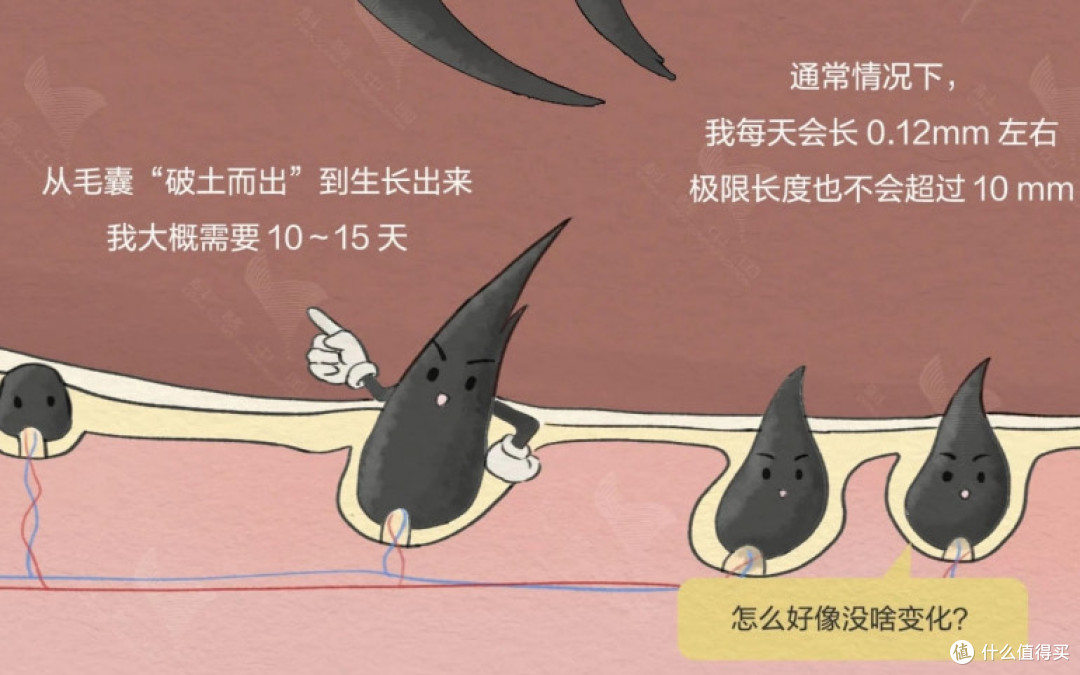 鼻毛总外窜?别再硬拔了!这根“救命毛”你根本不懂!