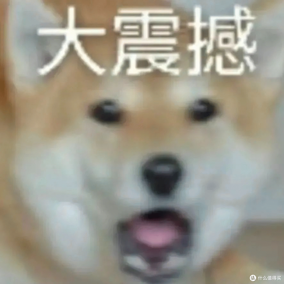 没有震动的手柄,凭什么卖这么贵?