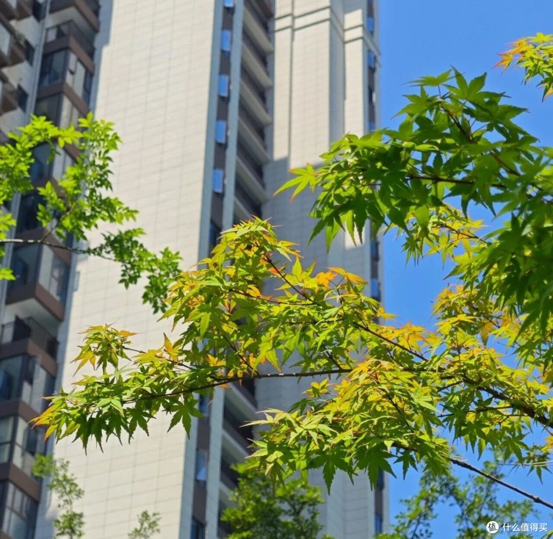 不听劝!从中间户换到西边户,入住后发现:居住体验差太多了