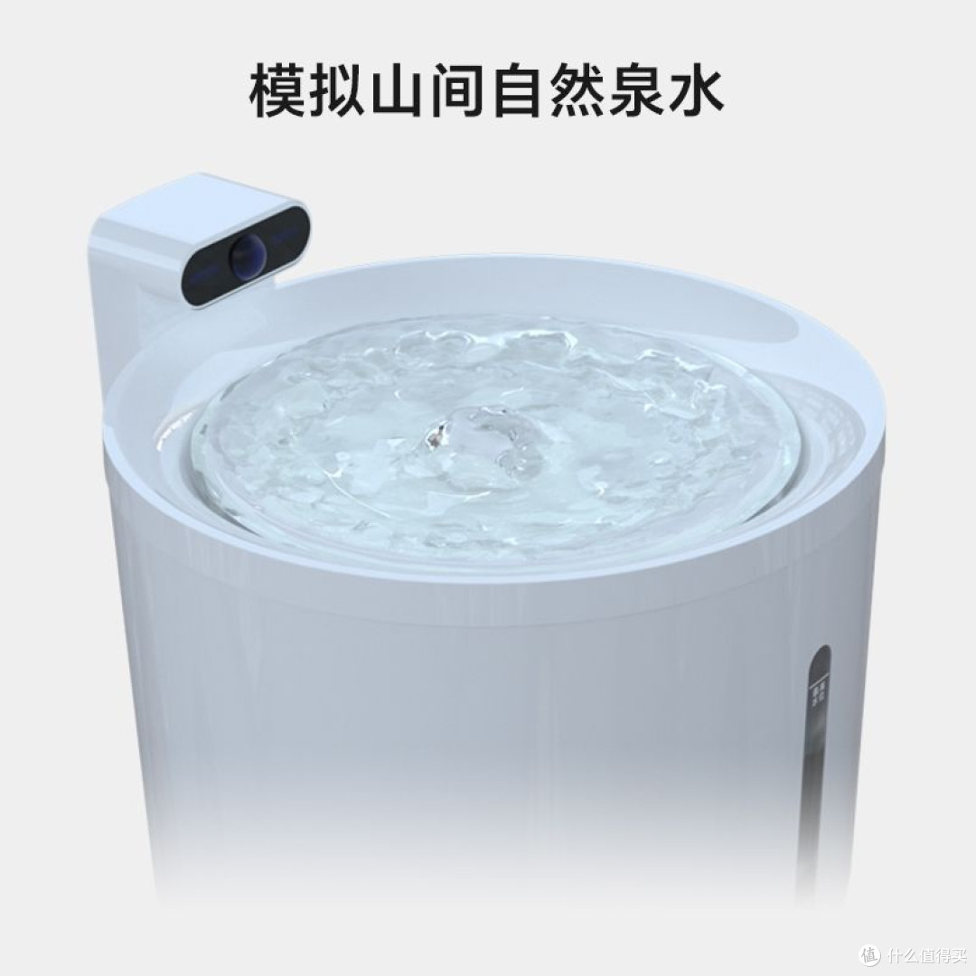 告别“电线缠身”,这款无线饮水机治好了我的养宠焦虑