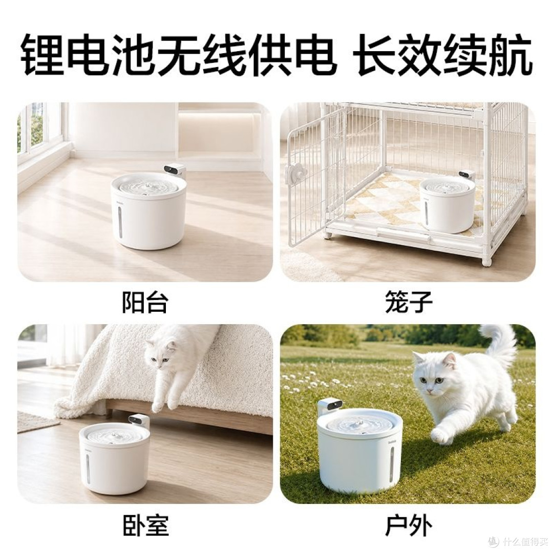 告别“电线缠身”,这款无线饮水机治好了我的养宠焦虑