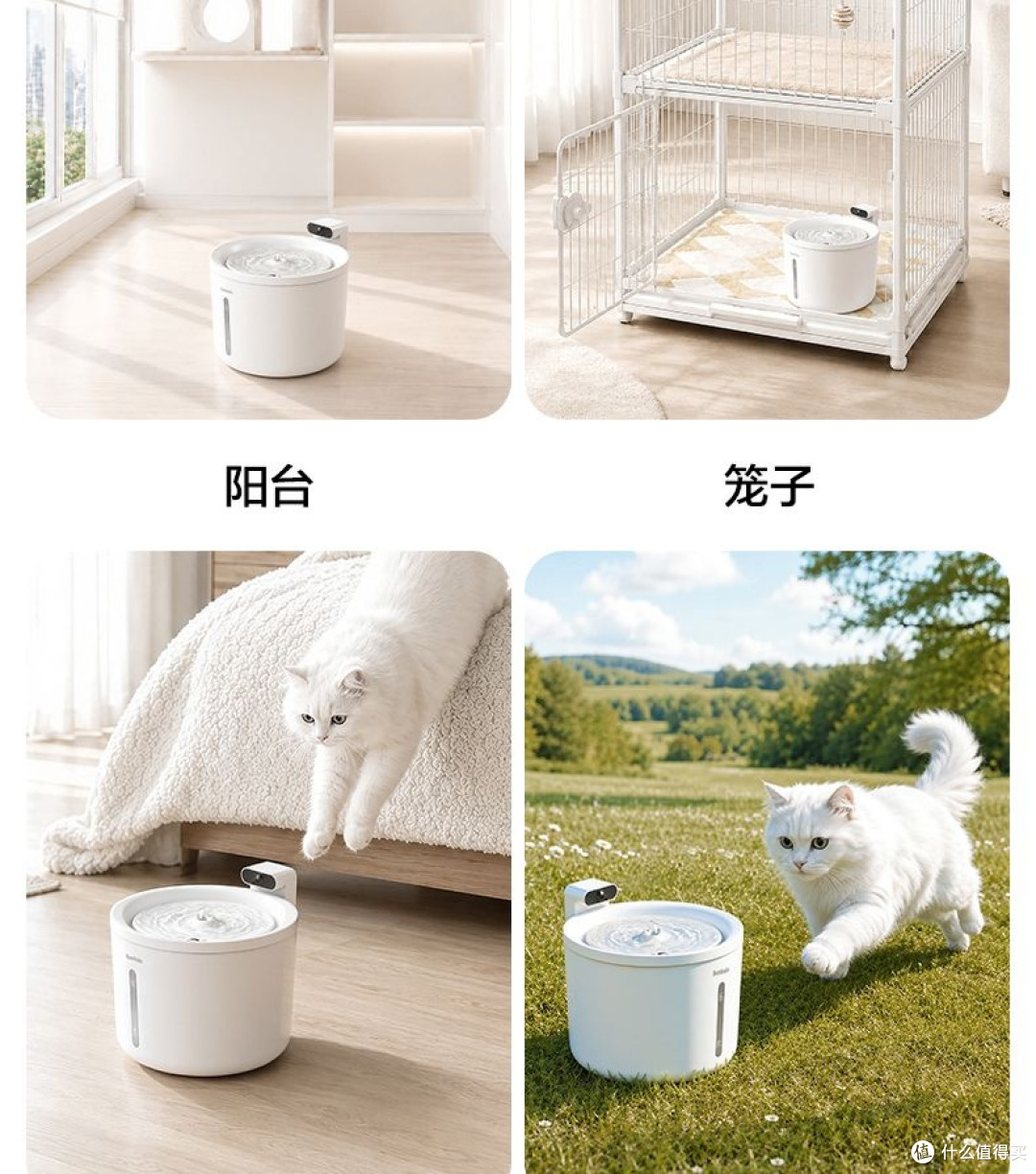 饮水机也能“砍一刀”?抛开品牌滤镜看本质