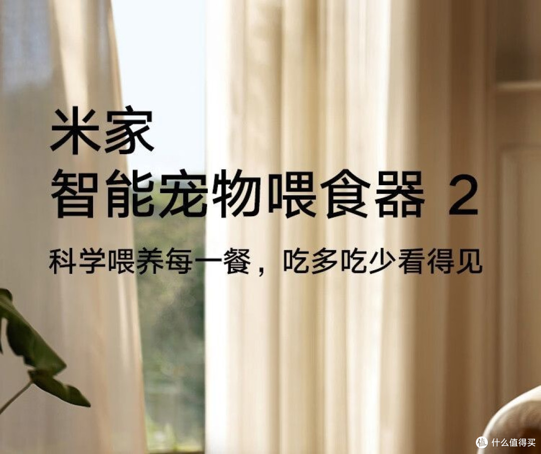 小佩平替？便宜大碗够用才是真“香”