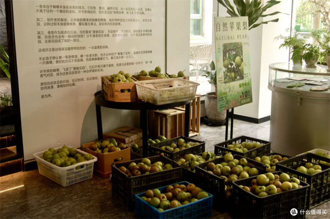 古镇旁的秘境花园,漫植花园解锁用餐新体验