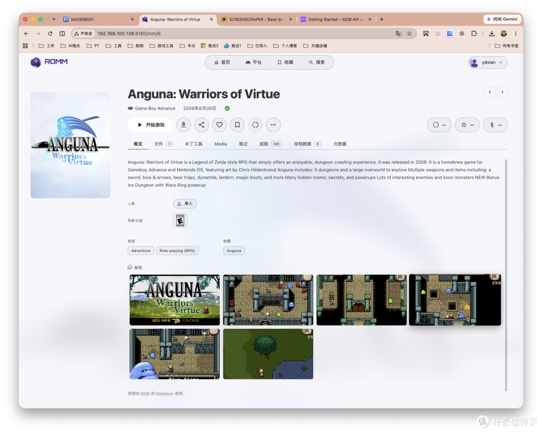 把所有老游戏装进 NAS：RomM打造私人「Steam游戏库」