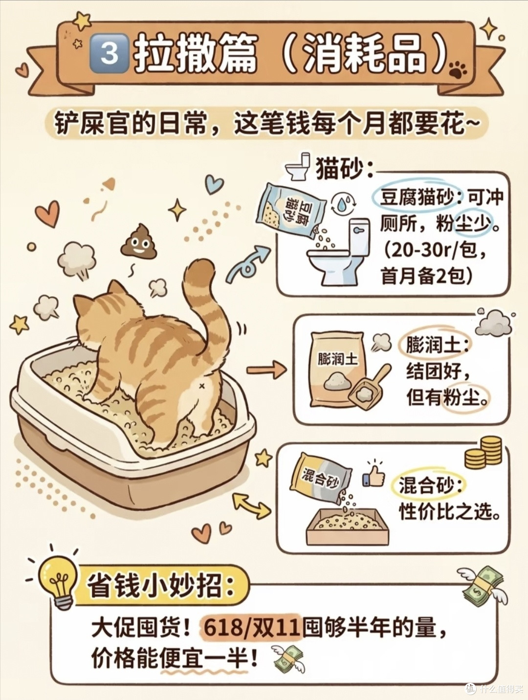 新手养猫预算清单📝哪些钱必须花,哪些是纯纯智商税!