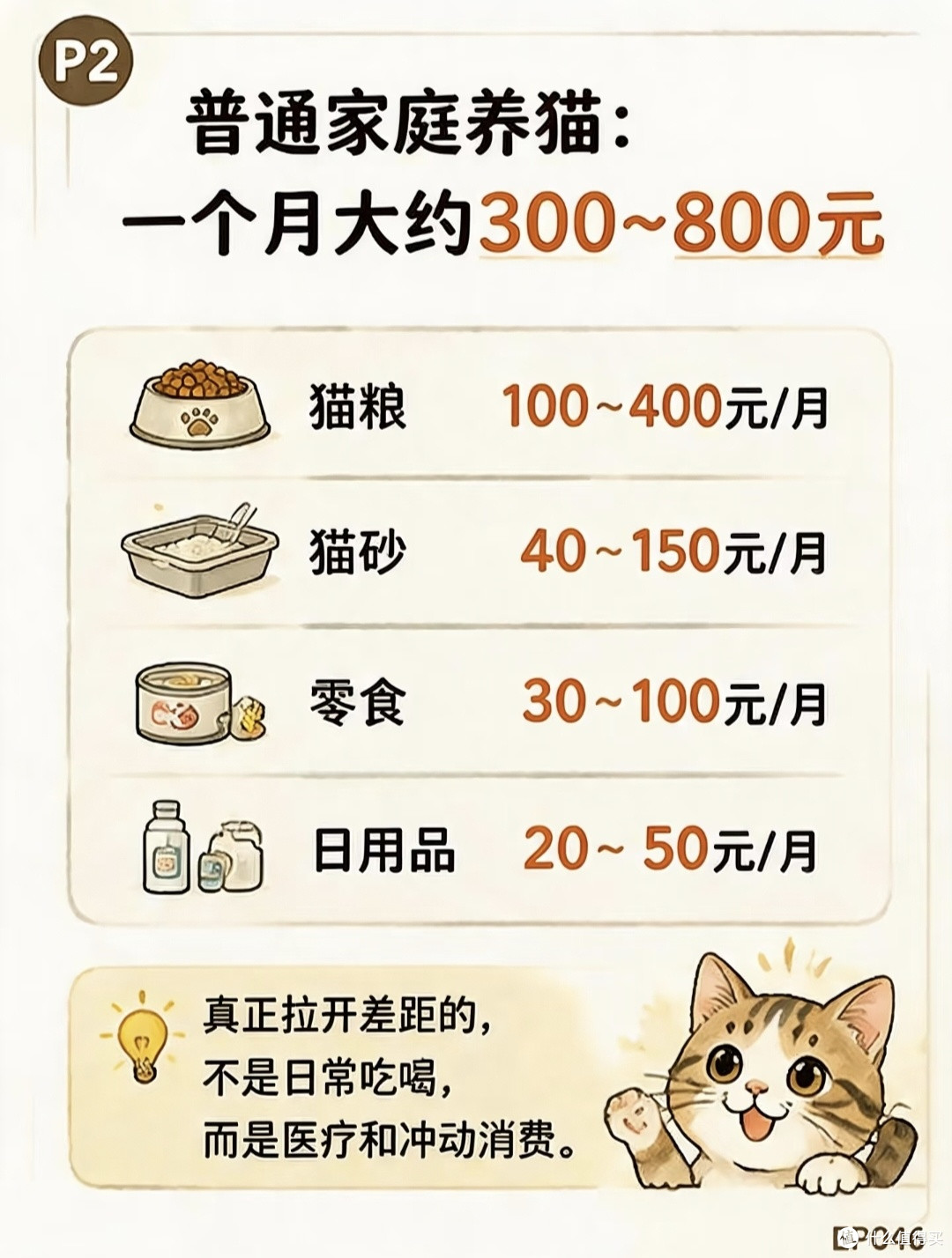 劝所有准铲屎官看完再养猫⚠️不止猫粮猫砂,还有一笔隐形开销!