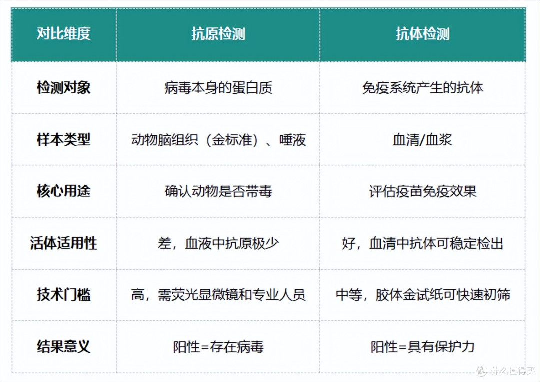 抗体检测VS抗原检测:被猫狗抓咬后,检测能判断安全吗?