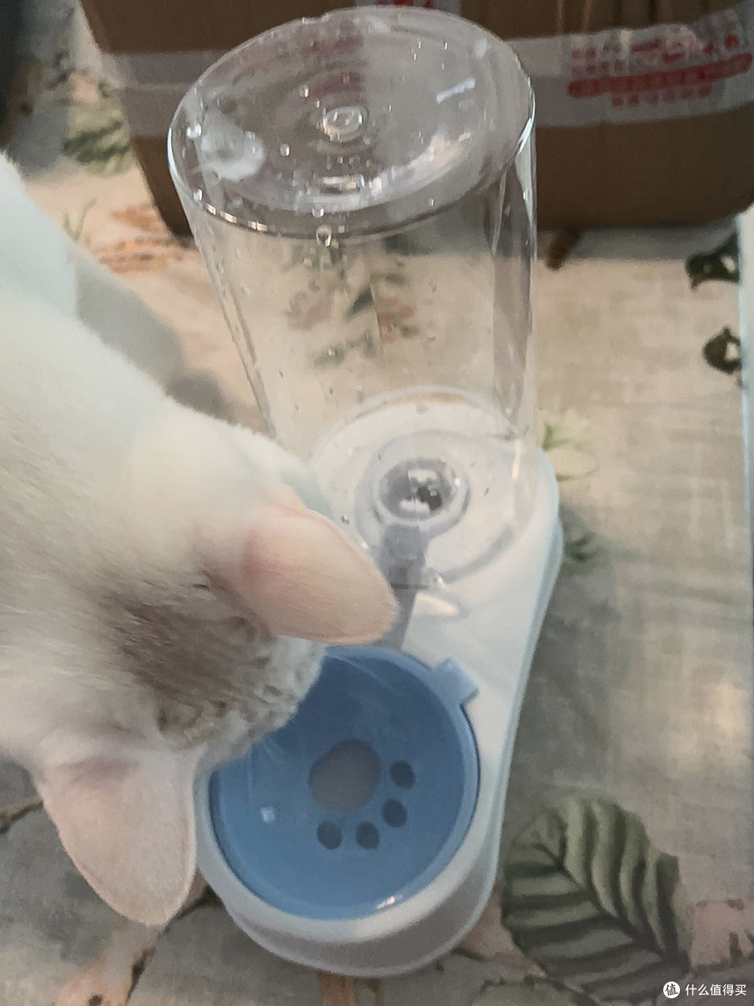 无线感应宠物饮水机使用体验