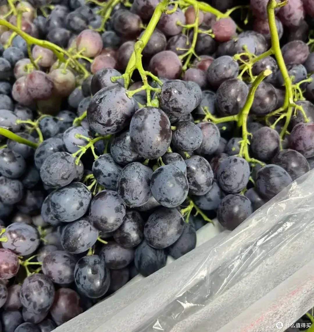 9月的水果很懂事,唯一的缺点:季节限定