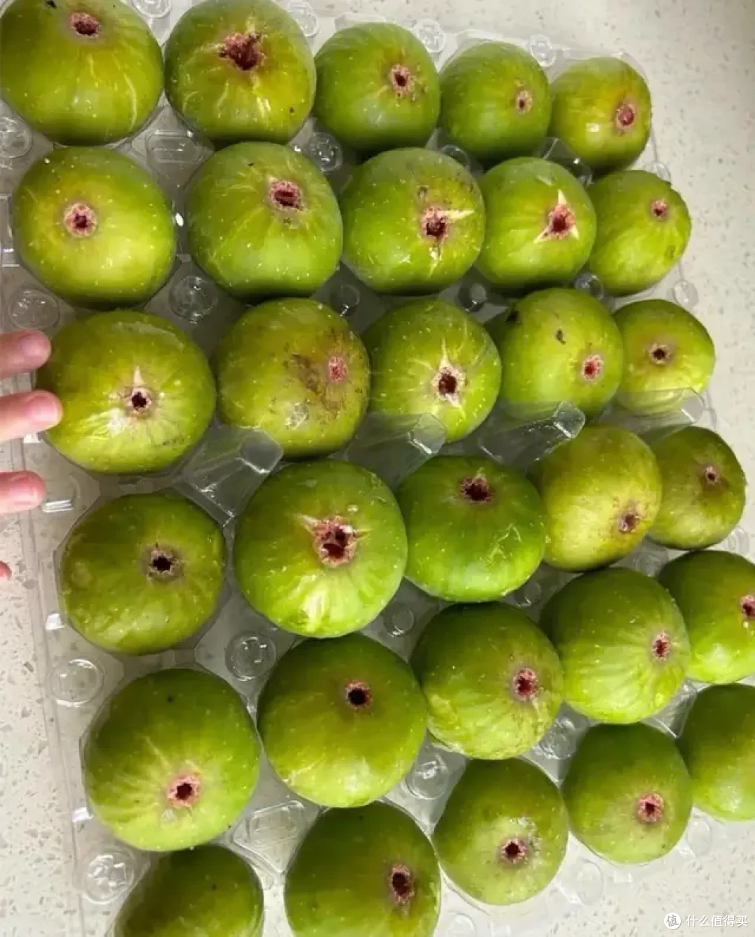 9月的水果很懂事,唯一的缺点:季节限定