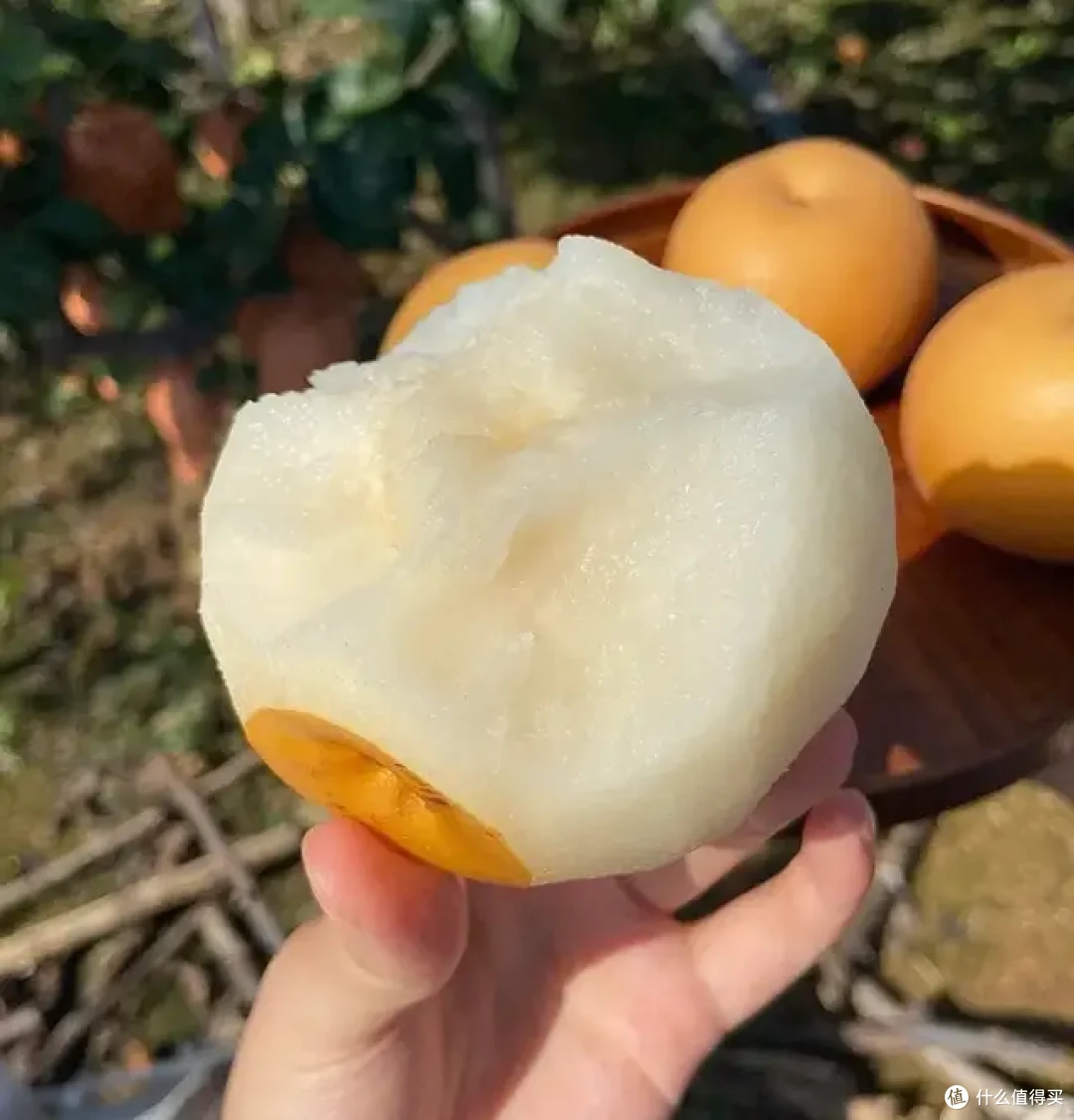 9月的水果很懂事,唯一的缺点:季节限定