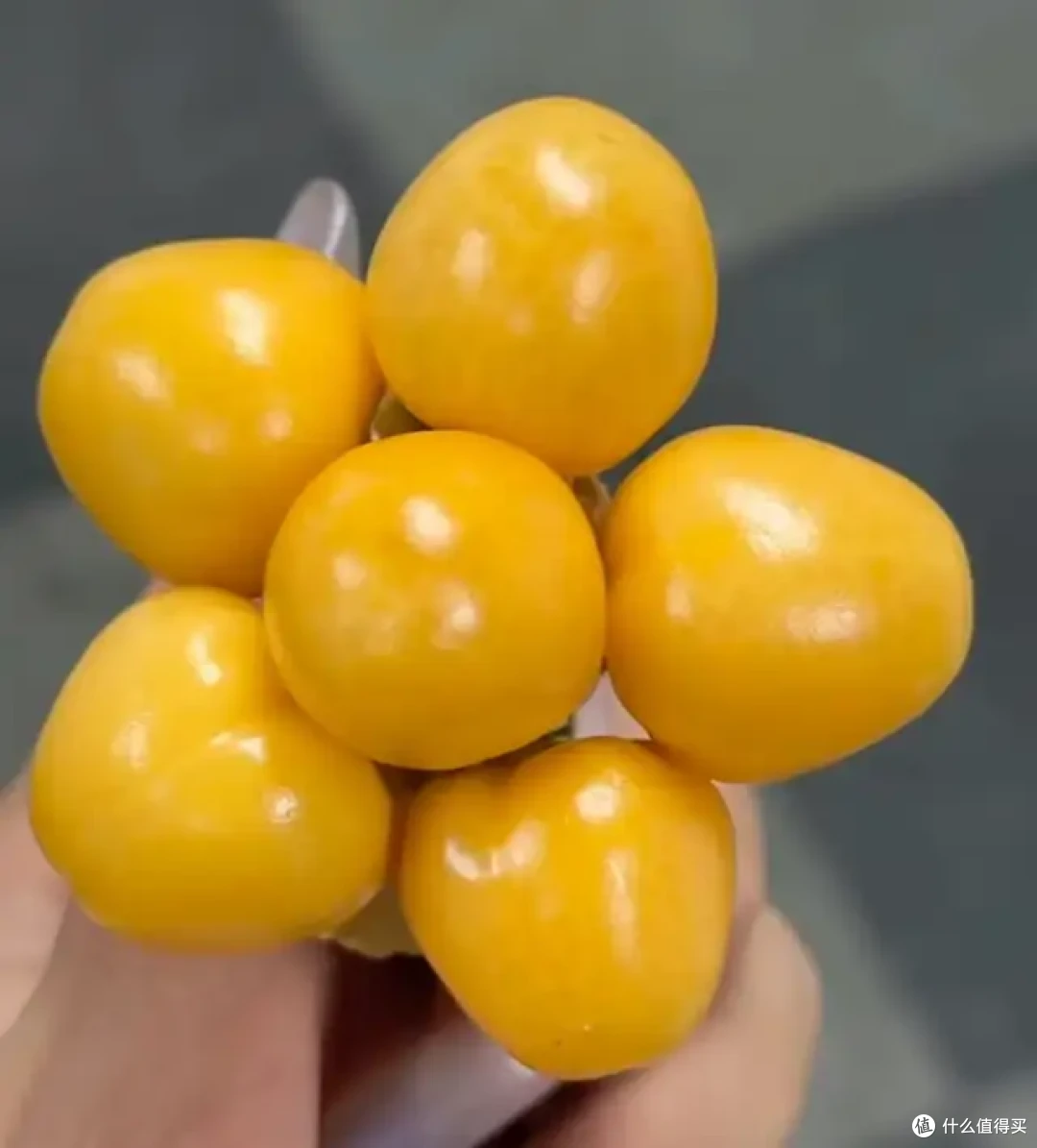 9月的水果很懂事,唯一的缺点:季节限定