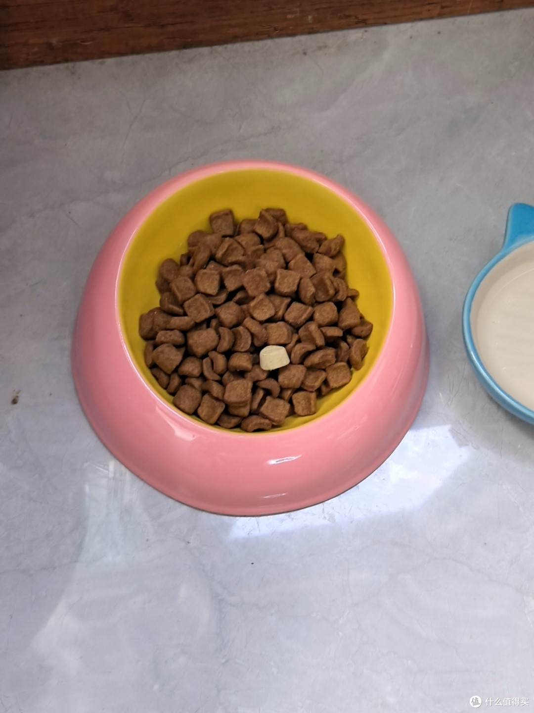 斜口陶瓷食盆改善狗狗泪痕实测