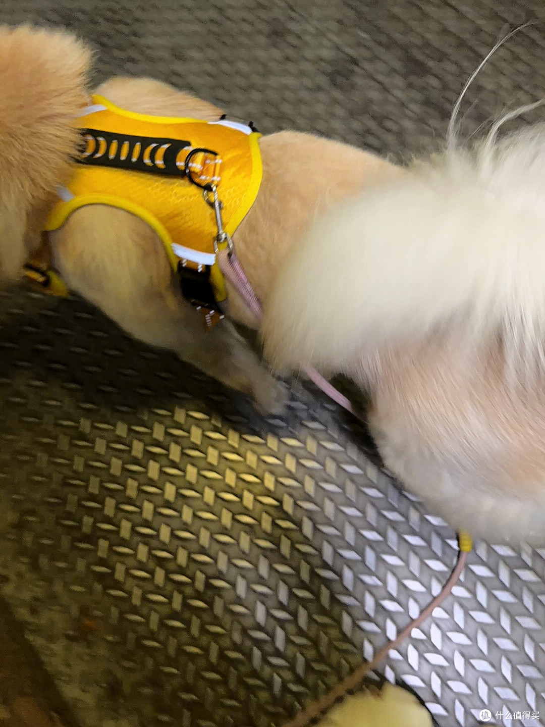 防爆冲胸背三月实测体验