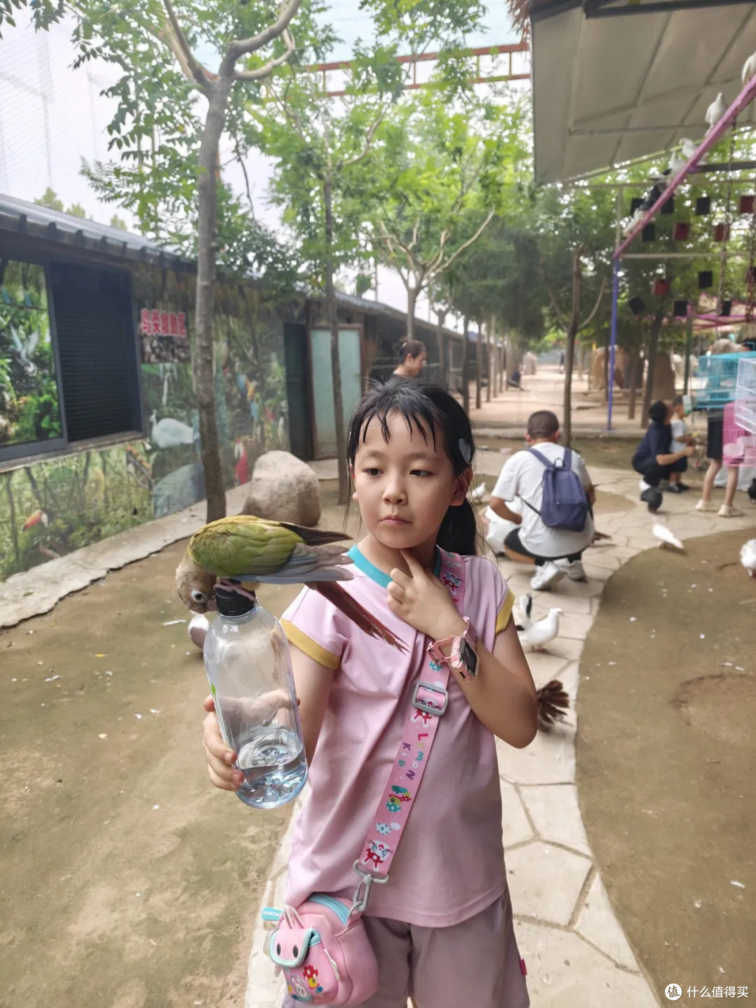 西安1小时直达!藏在袁家村旁的动物园,把娃电放光了