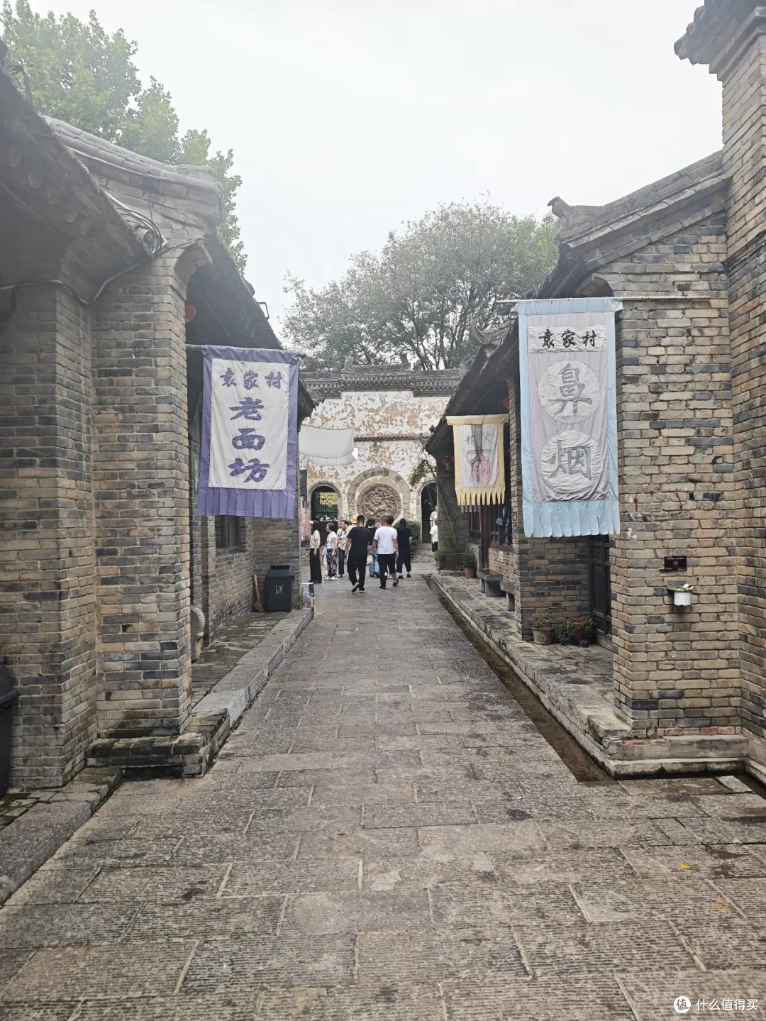 西安1小时直达!藏在袁家村旁的动物园,把娃电放光了