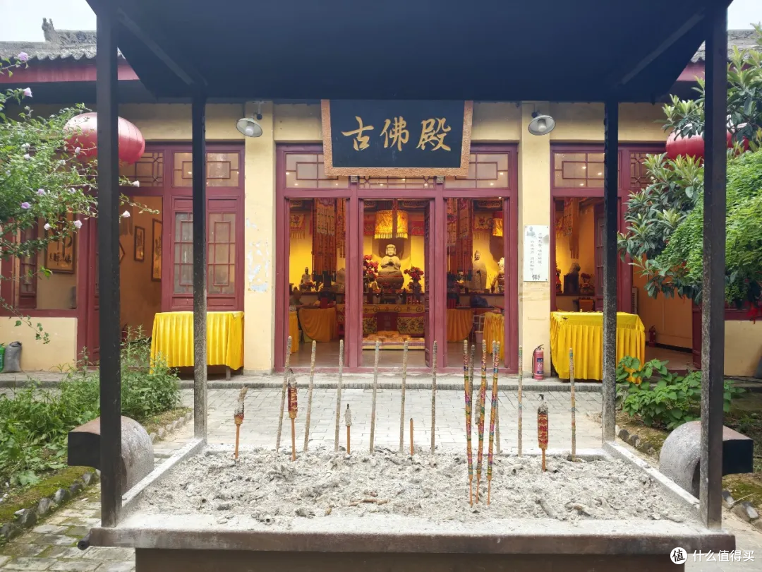 西安1小时直达!藏在袁家村旁的动物园,把娃电放光了