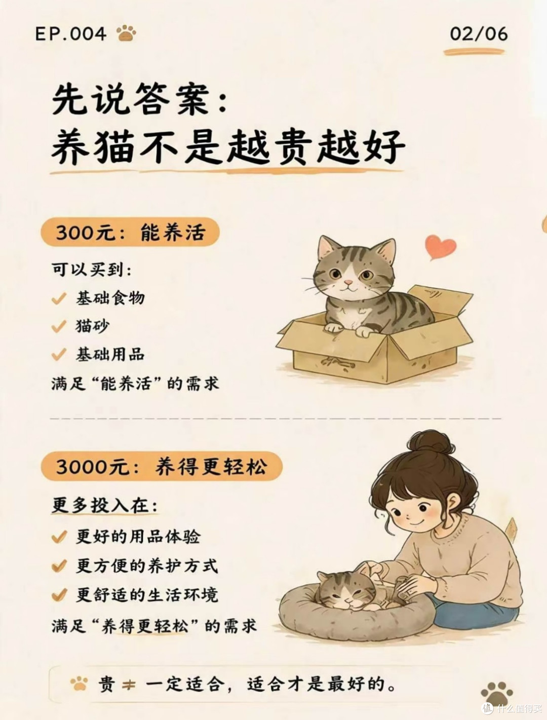 猫咪不懂价格只懂舒服|养猫花钱优先级,我踩过的大坑全告诉你