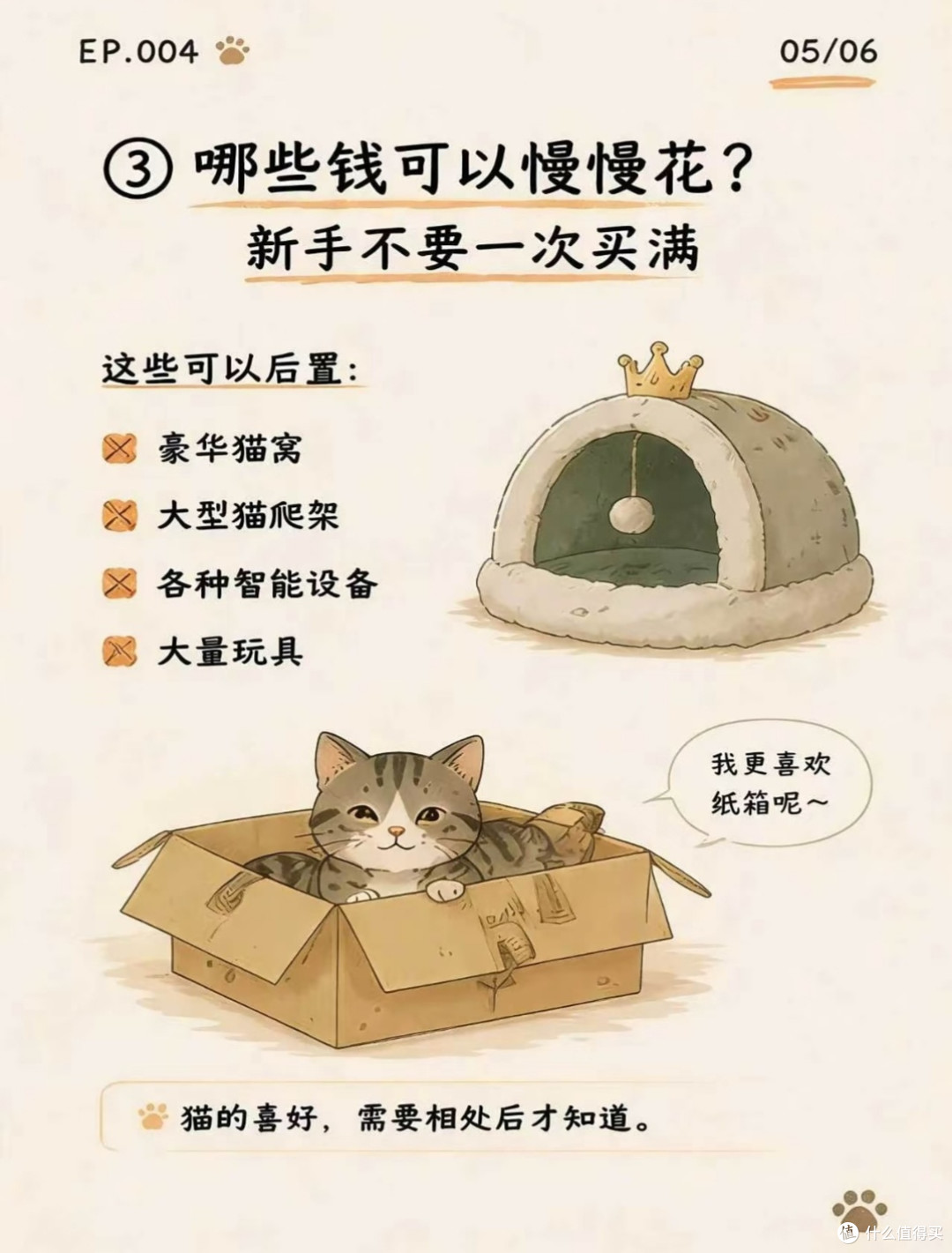 猫咪不懂价格只懂舒服|养猫花钱优先级,我踩过的大坑全告诉你