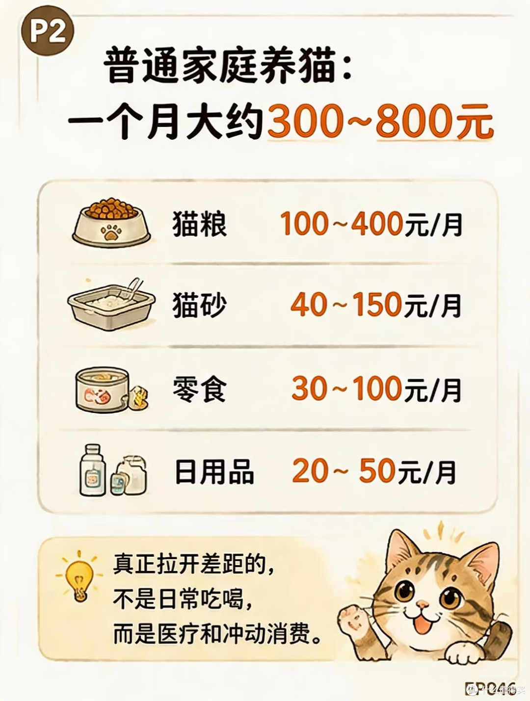 养猫真实账单大公开!别冲动接猫,附寄养踩坑血泪教训
