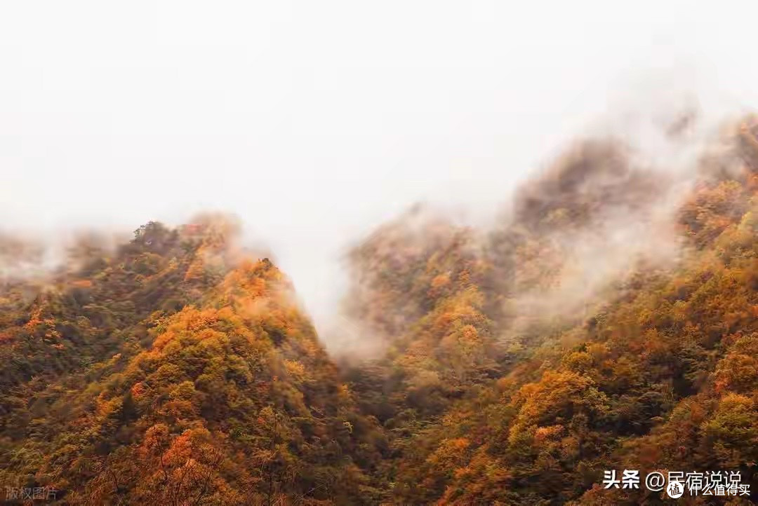 成分安全控油去屑洗发水:成分党把洗感用过一轮真心留下这几款
