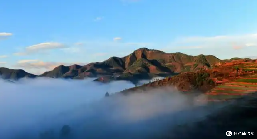 拒绝盲目跟风！基于脊柱发育需求的新生儿安全座椅深度测评