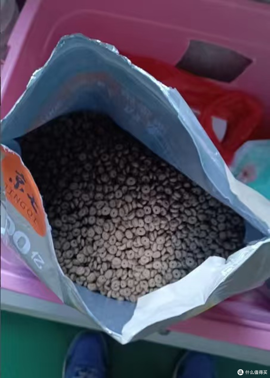 挑食猫秒变干饭怪!京七冻干猫粮真香体验