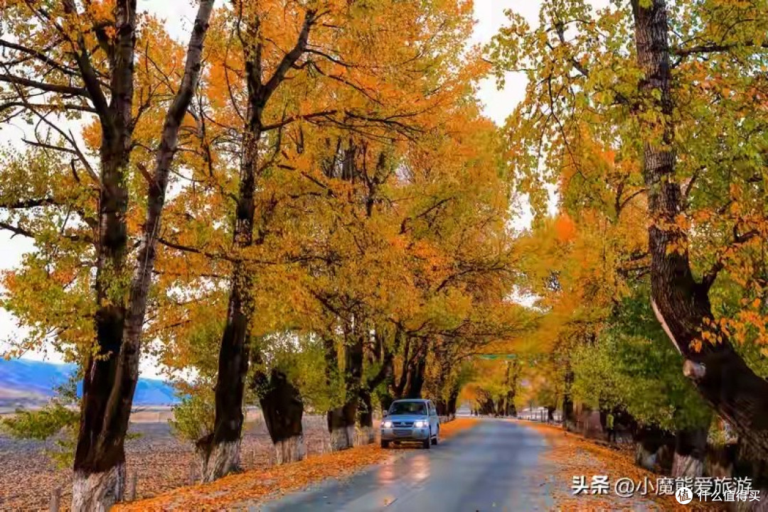 戴安全帽后又油又痒的工地监理,控油止痒洗发水怎么挑才顺手