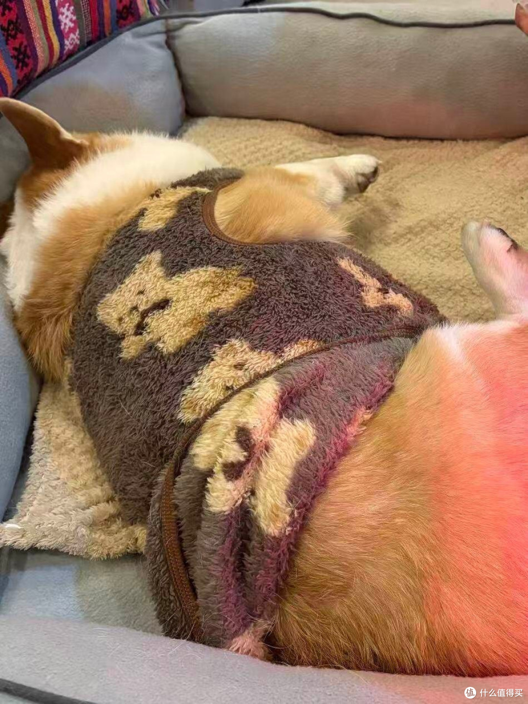 生物酶除臭喷雾实测体验