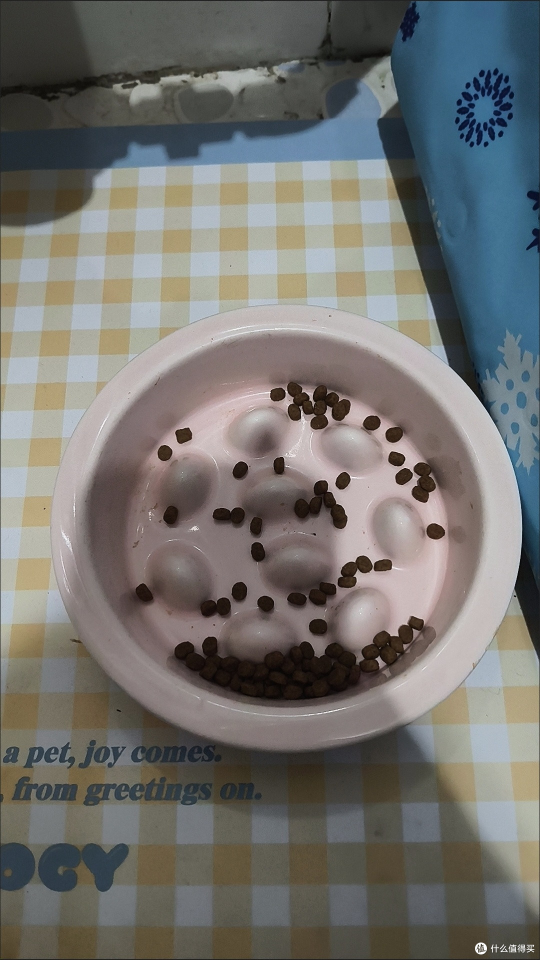 不锈钢慢食碗改善宠物消化