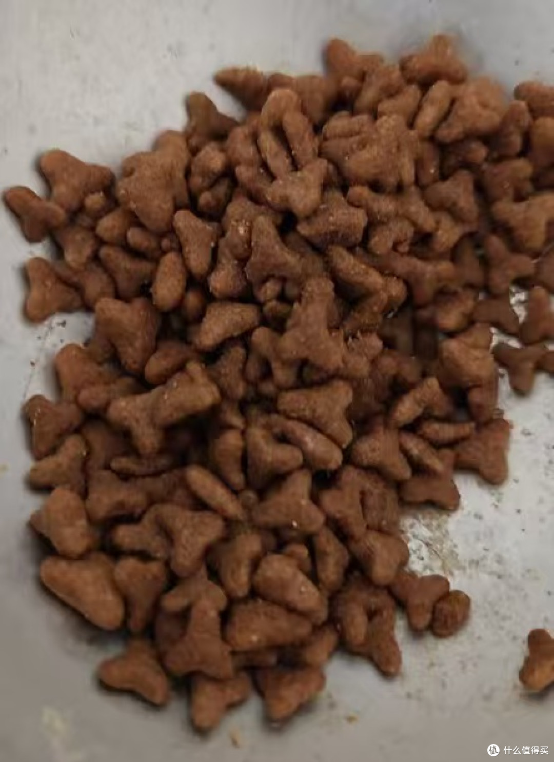 挑食猫也爱!这款高蛋白猫粮真香