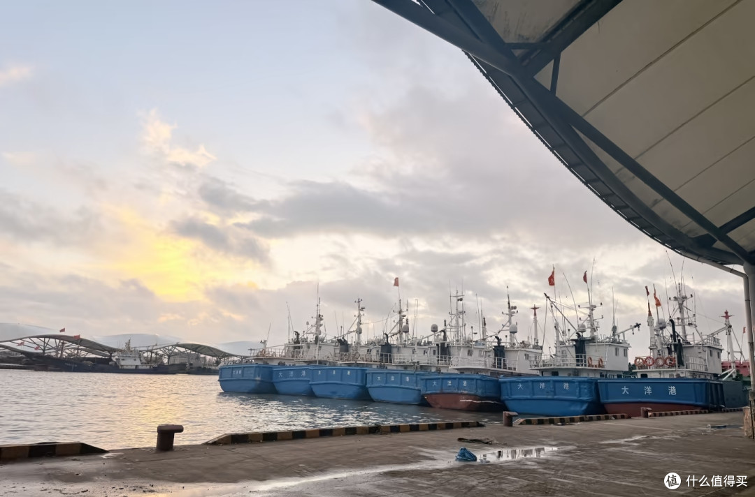 入秋尝鲜清单!这三样江浙沪水产我能吃一整个秋天。建议务必品尝