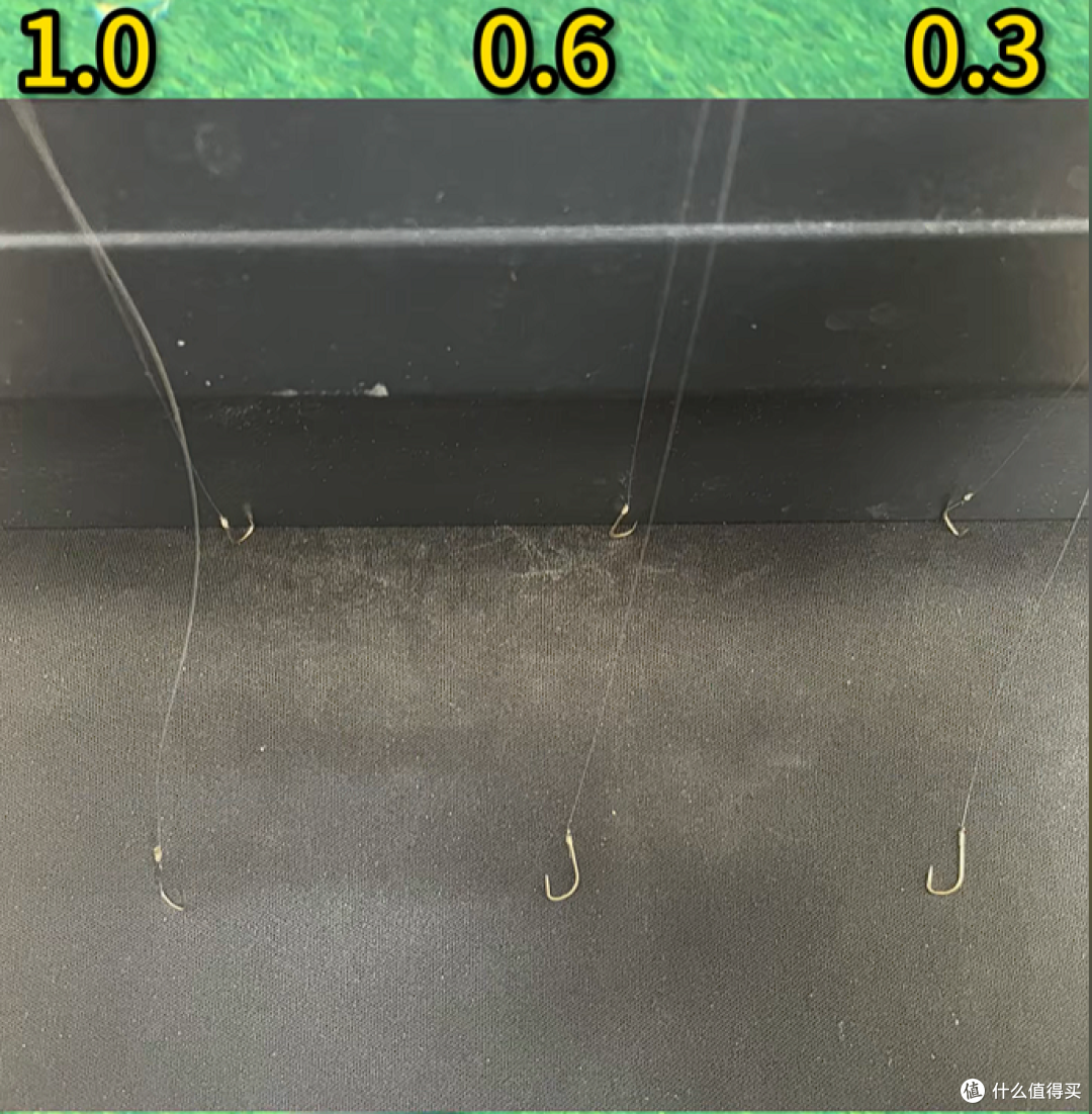 野钓鲫鱼总钓不好?记住这些思路,新手稳 钓鱼_天气预报 科普