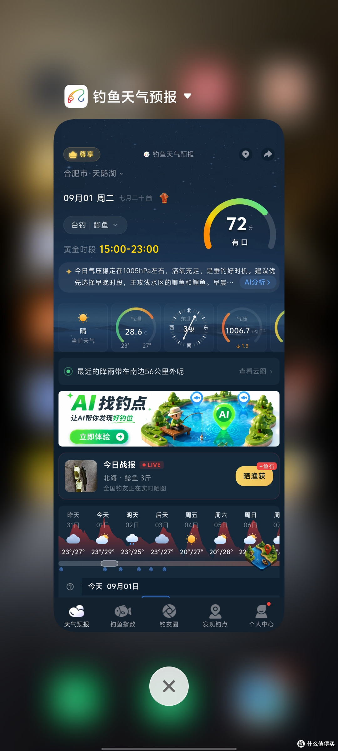 野钓鲫鱼总钓不好？记住这些思路，新手稳 钓鱼_天气预报 科普