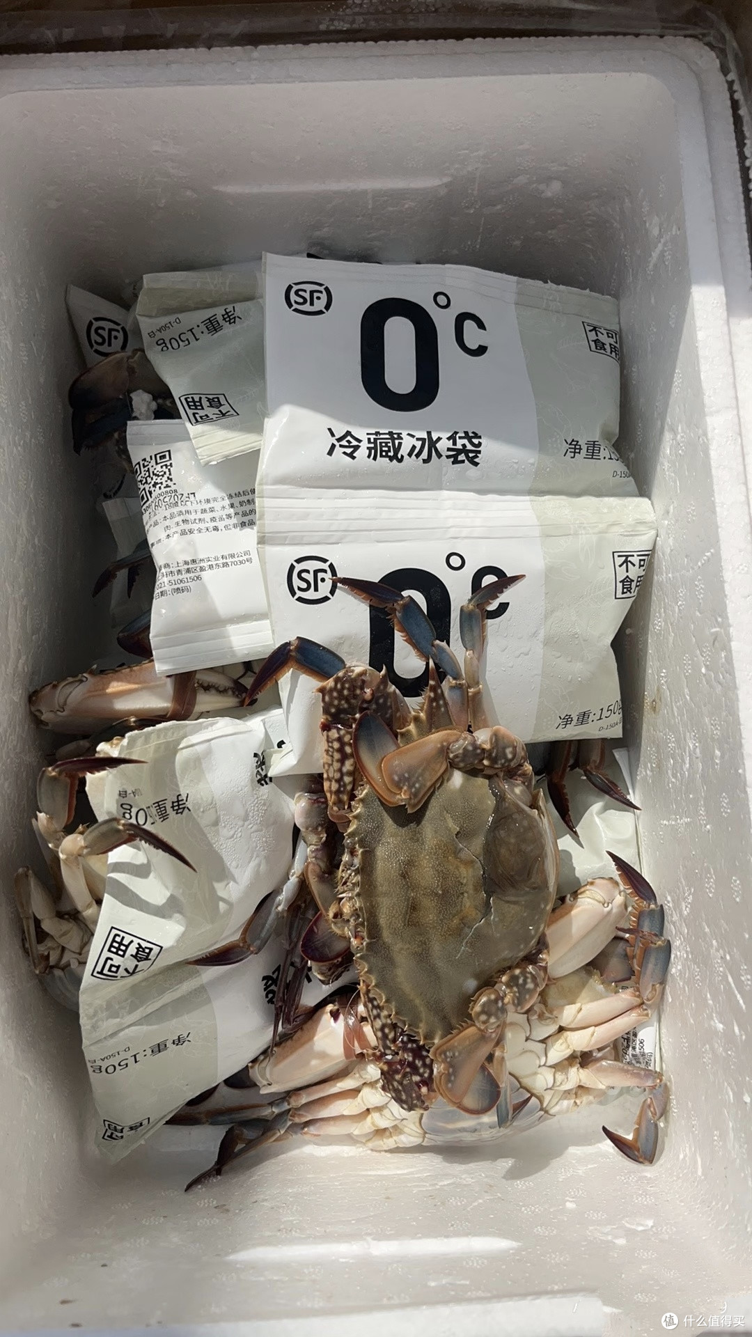 入秋尝鲜清单!这三样江浙沪水产我能吃一整个秋天。建议务必品尝