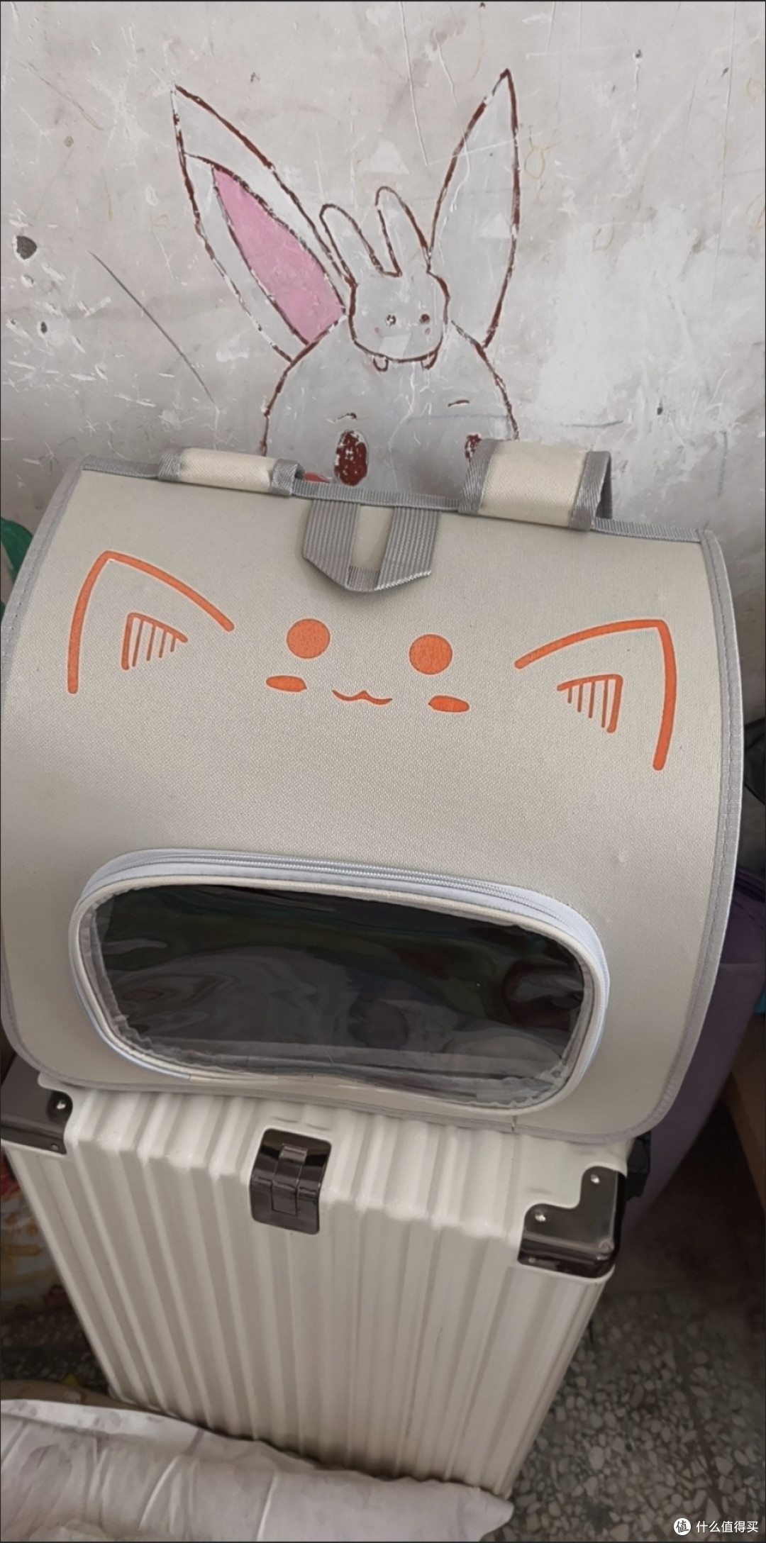 便携折叠宠物包三月实测体验