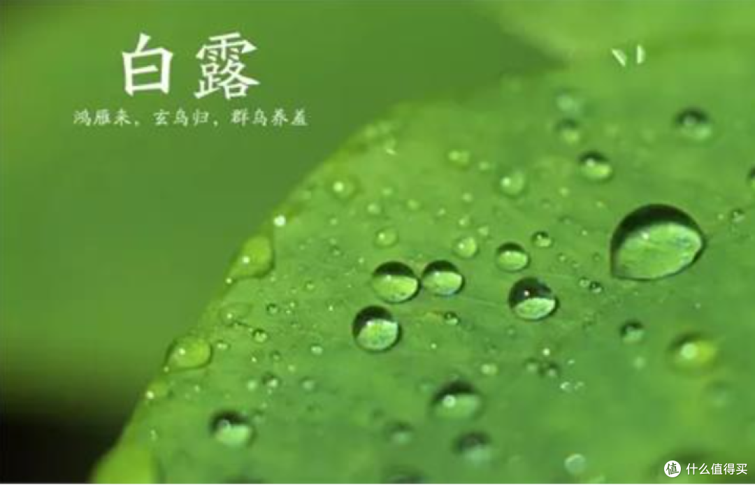 白露后还在“秋冻”?别傻了!这3个地方冻出病,医院都救不了你