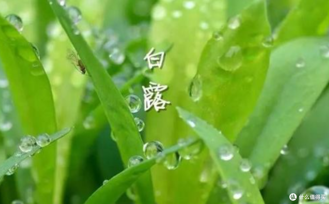 白露后还在“秋冻”?别傻了!这3个地方冻出病,医院都救不了你